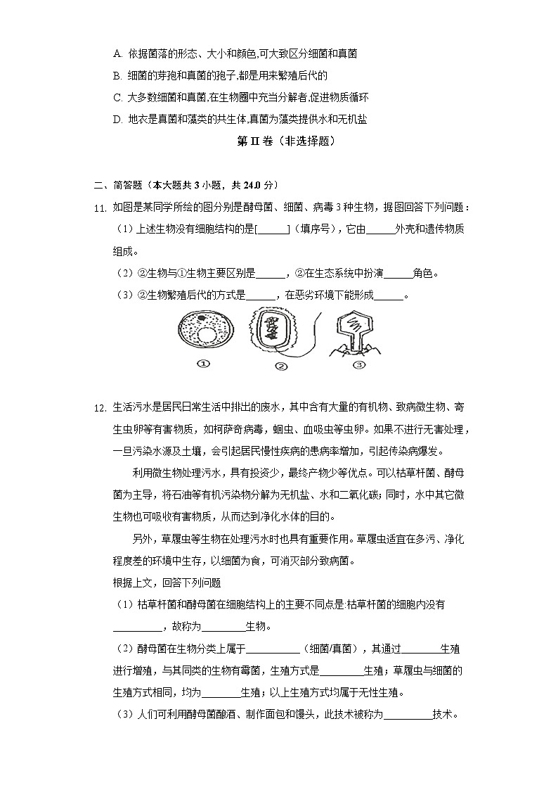 18.1微生物在生物圈中的作用 北师大版初中生物八年级上册同步练习(含答案解析)第3页