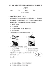初中生物北师大版八年级上册第2节 动物的生殖和发育优秀课后测评