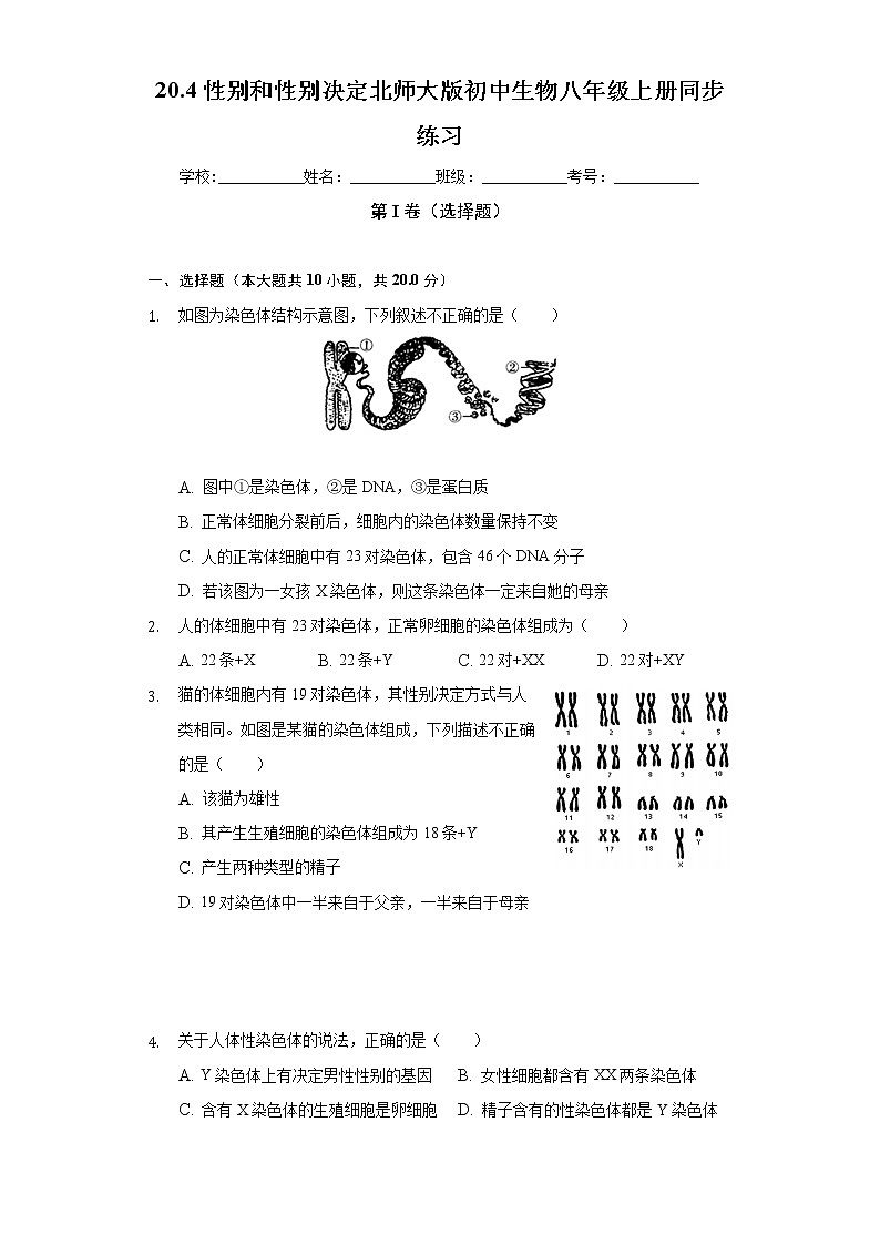 20.4性别和性别决定 北师大版初中生物八年级上册同步练习(含答案解析)第1页