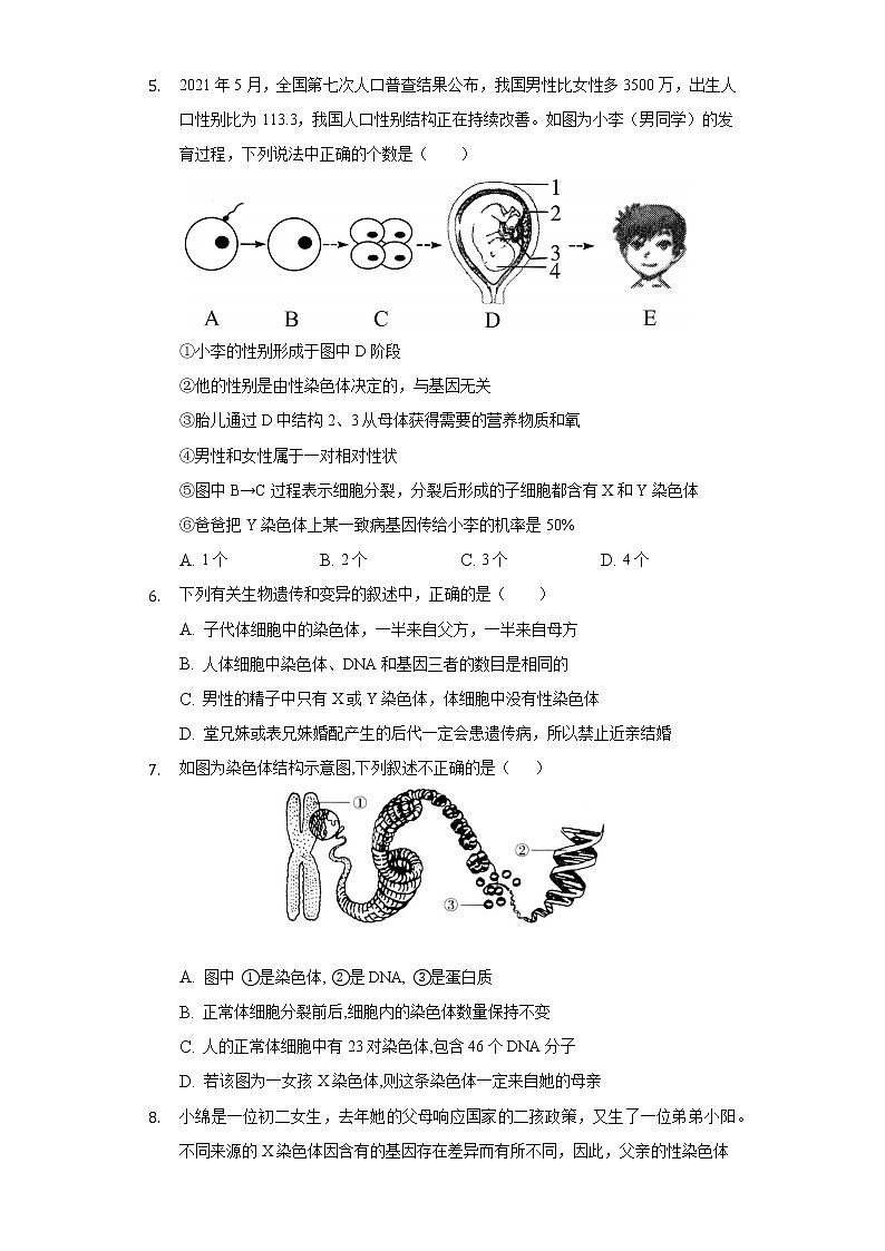 20.4性别和性别决定 北师大版初中生物八年级上册同步练习(含答案解析)第2页