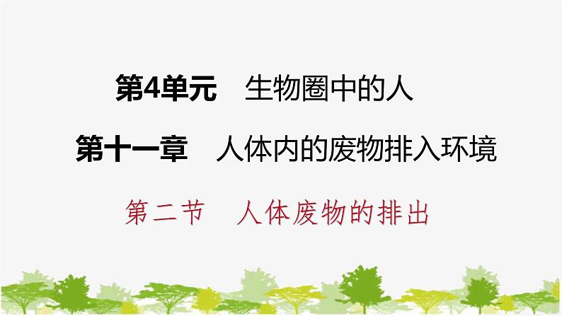 苏教版七年级生物下册 第十一章 第二节 第1课时 尿液的形成和排出课件第1页