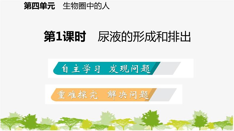 苏教版七年级生物下册 第十一章 第二节 第1课时 尿液的形成和排出课件第2页
