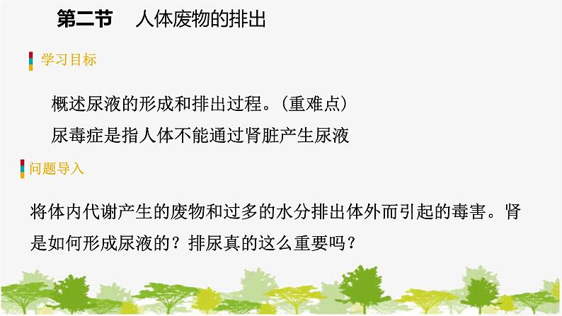 苏教版七年级生物下册 第十一章 第二节 第1课时 尿液的形成和排出课件第3页