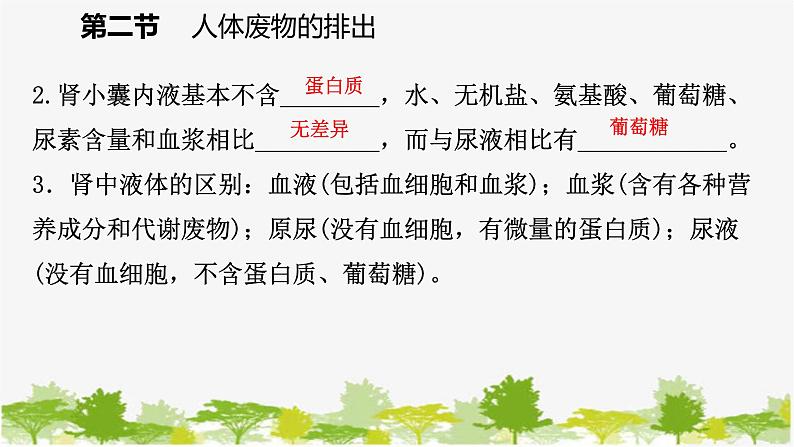 苏教版七年级生物下册 第十一章 第二节 第1课时 尿液的形成和排出课件第5页