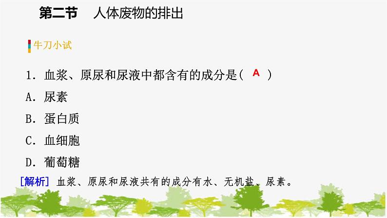 苏教版七年级生物下册 第十一章 第二节 第1课时 尿液的形成和排出课件第7页