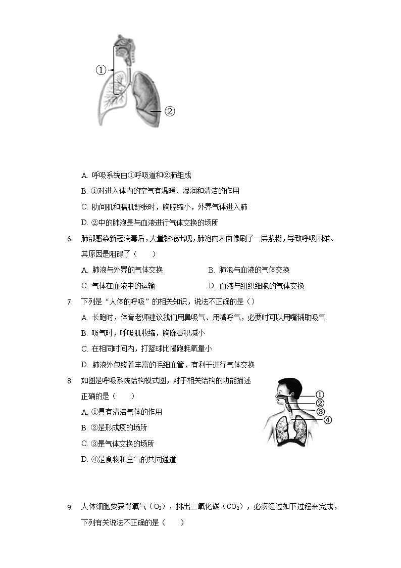 7.2人体的呼吸 苏科版初中生物七年级上册同步练习(含答案解析)02