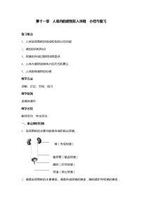 苏教版七年级下册第11章 人体内的废物排人环境综合与测试教案设计