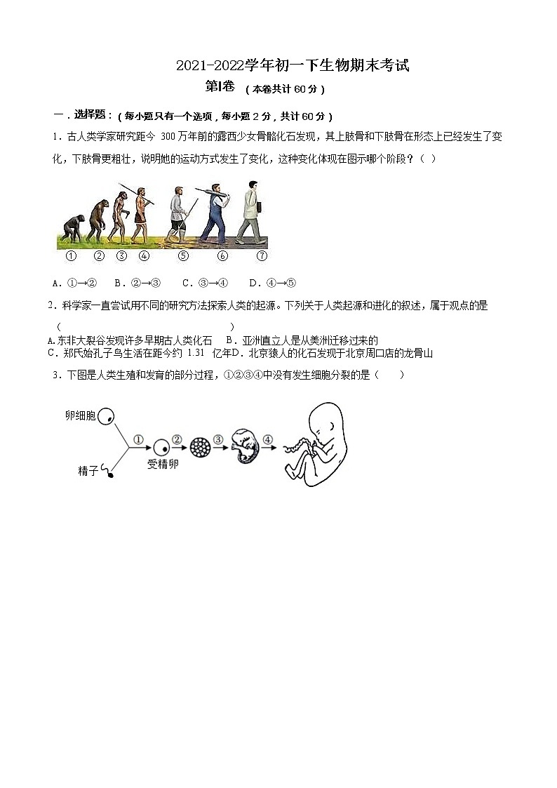 广东省深圳市翠园实验学校2021-2022学年七年级下学期期末考试生物试题(word版含答案)01