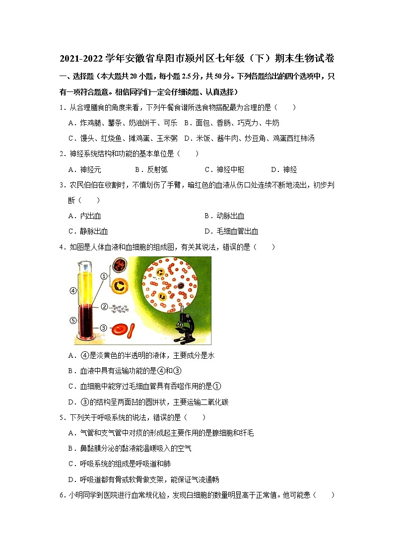 安徽省阜阳市颍州区2021-2022学年七年级下学期期末生物试卷(word版含答案)第1页