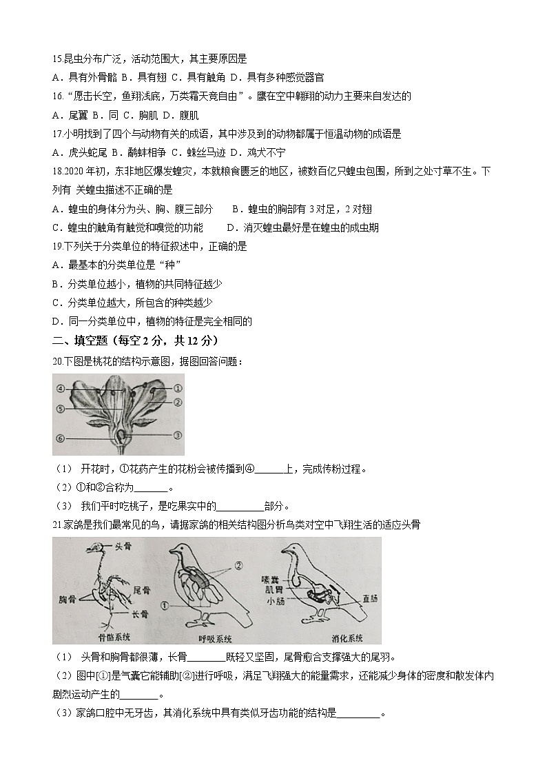 江苏省扬州市宝应县2021-2022学年七年级下学期期末生物试题(word版含答案)第2页