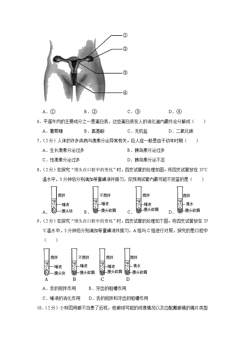 山西省太原市2021-2022学年七年级下学期期末生物试卷(word版含答案)02