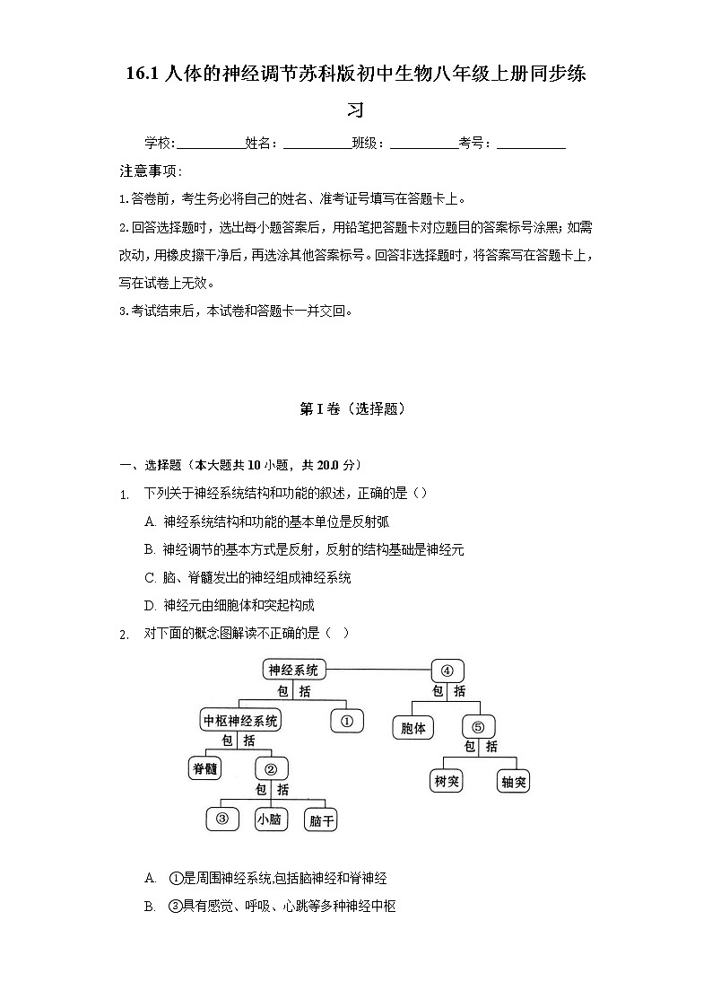 16.1人体的神经调节 苏科版初中生物八年级上册同步练习(含答案解析)01