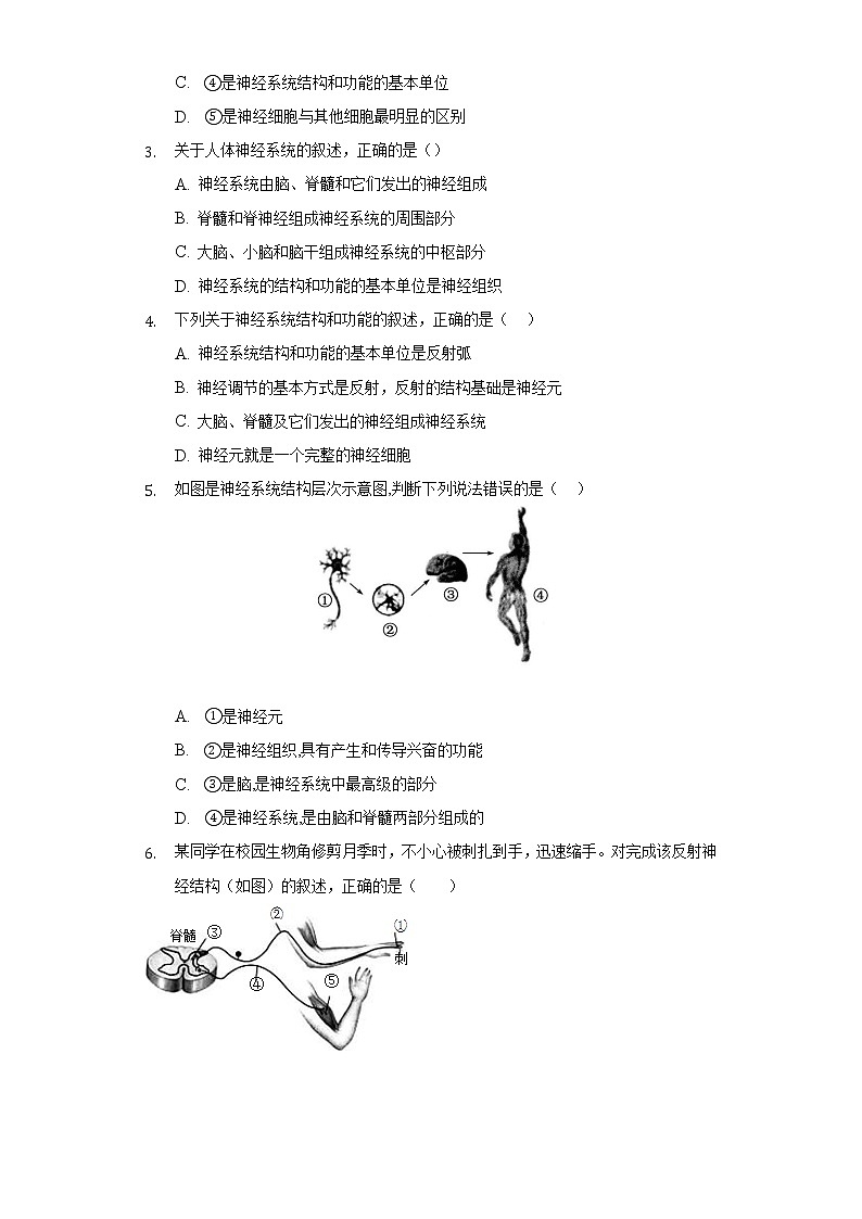 16.1人体的神经调节 苏科版初中生物八年级上册同步练习(含答案解析)02
