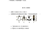 初中生物苏科版八年级上册第2节 	植物的生长发育精品一课一练