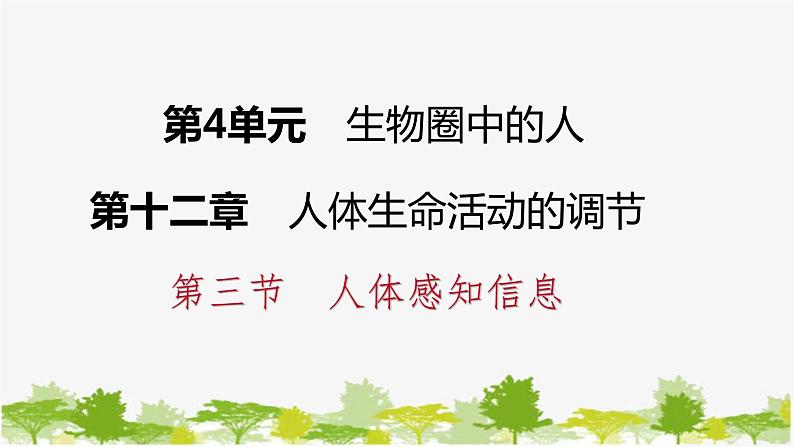 苏教版七年级生物下册 第十二章 第三节 第2课时 耳和听觉课件第1页