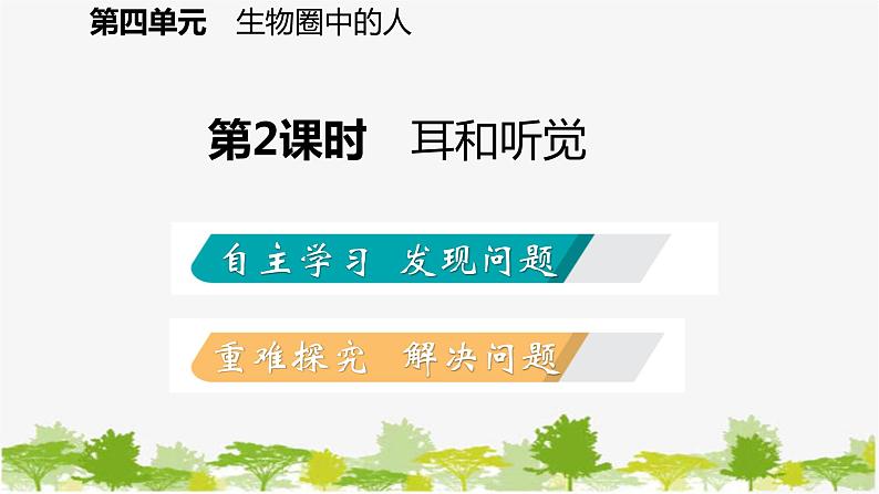 苏教版七年级生物下册 第十二章 第三节 第2课时 耳和听觉课件第2页