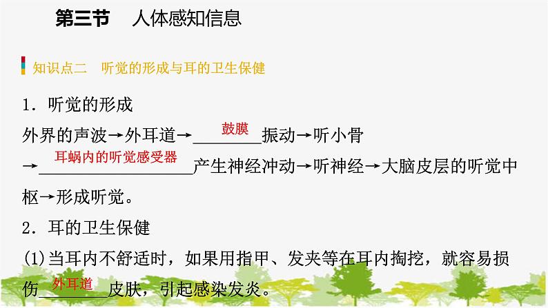 苏教版七年级生物下册 第十二章 第三节 第2课时 耳和听觉课件第6页
