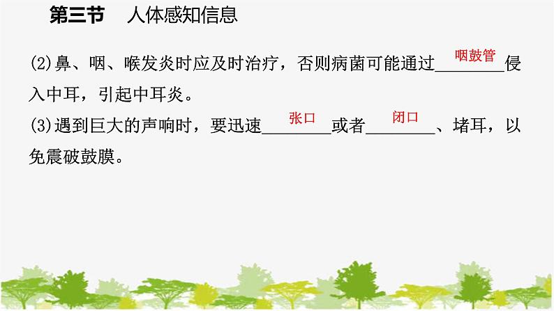 苏教版七年级生物下册 第十二章 第三节 第2课时 耳和听觉课件第7页