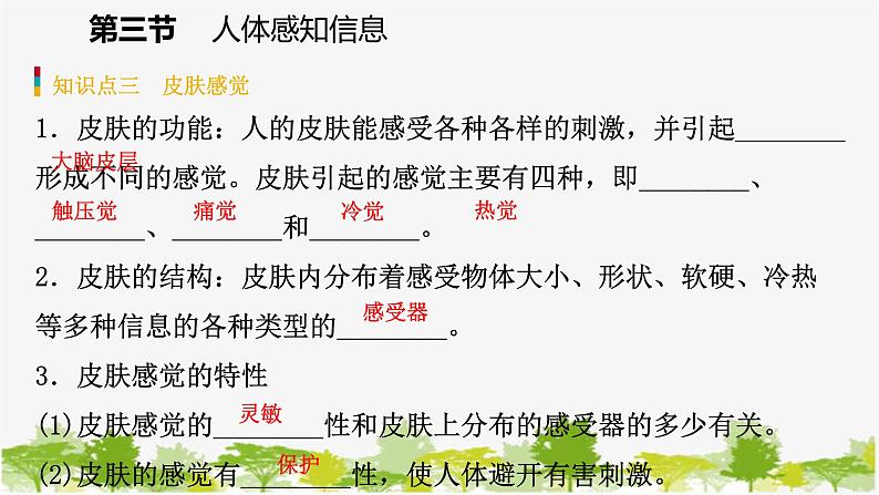 苏教版七年级生物下册 第十二章 第三节 第2课时 耳和听觉课件第8页