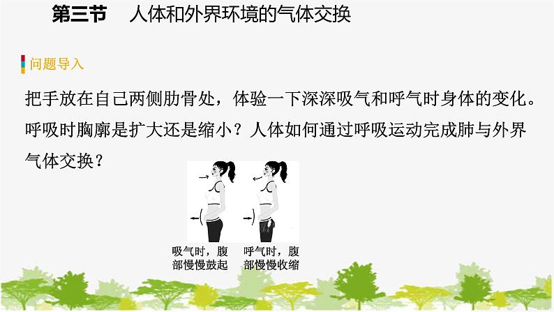 苏教版七年级生物下册 第十章 第三节 第2课时 呼吸运动和肺活量课件第4页