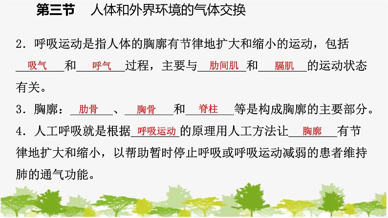 苏教版七年级生物下册 第十章 第三节 第2课时 呼吸运动和肺活量课件第6页