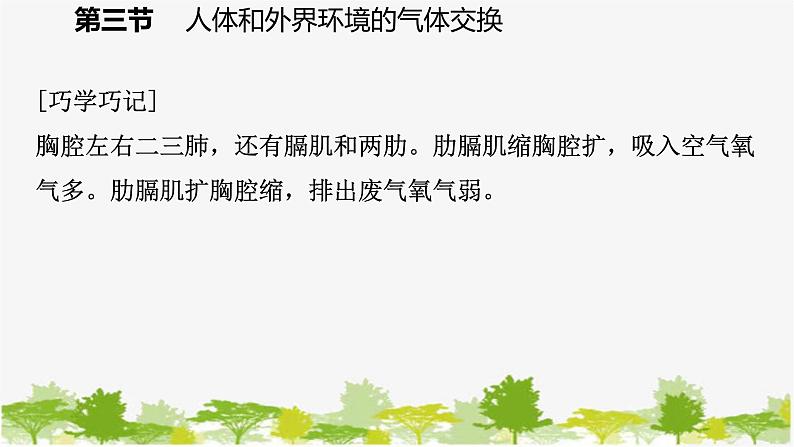 苏教版七年级生物下册 第十章 第三节 第2课时 呼吸运动和肺活量课件第7页