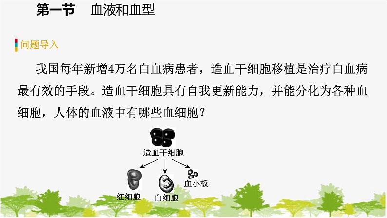 苏教版七年级生物下册 第十章 第一节 第1课时 血液的组成和功能课件第4页