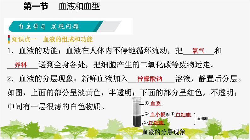 苏教版七年级生物下册 第十章 第一节 第1课时 血液的组成和功能课件第5页