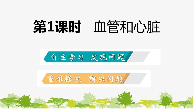 苏教版七年级生物下册 第十章 第二节 第1课时 血管和心脏课件第2页