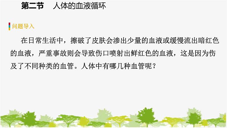 苏教版七年级生物下册 第十章 第二节 第1课时 血管和心脏课件第4页