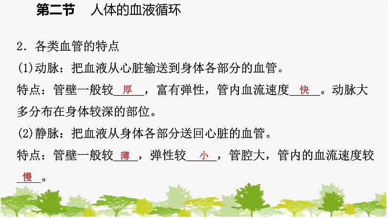 苏教版七年级生物下册 第十章 第二节 第1课时 血管和心脏课件第6页