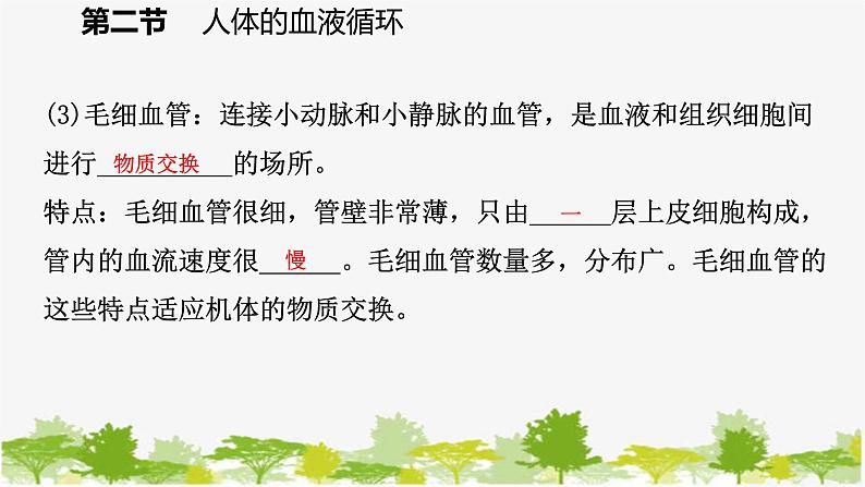 苏教版七年级生物下册 第十章 第二节 第1课时 血管和心脏课件第7页