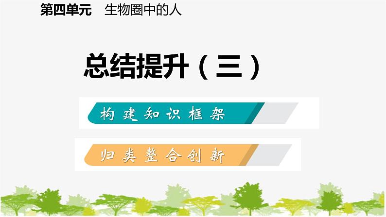 苏教版七年级生物下册 第十章 人体内的物质运输和能量供给 小结与复习课件第2页