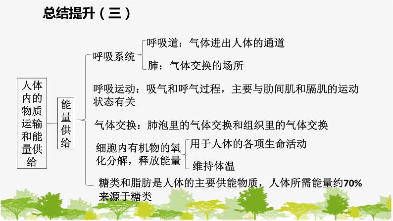 苏教版七年级生物下册 第十章 人体内的物质运输和能量供给 小结与复习课件第4页