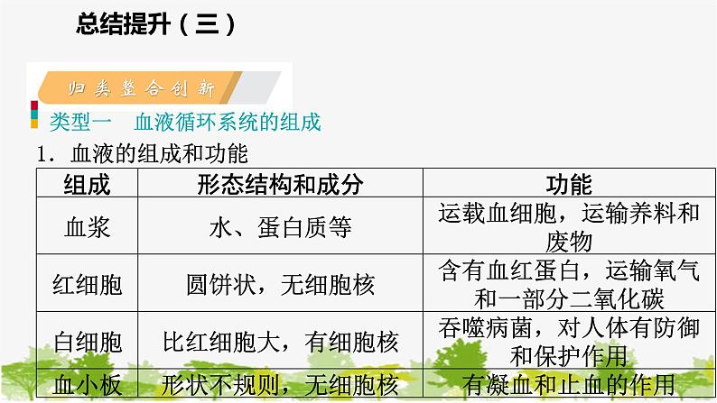 苏教版七年级生物下册 第十章 人体内的物质运输和能量供给 小结与复习课件第5页