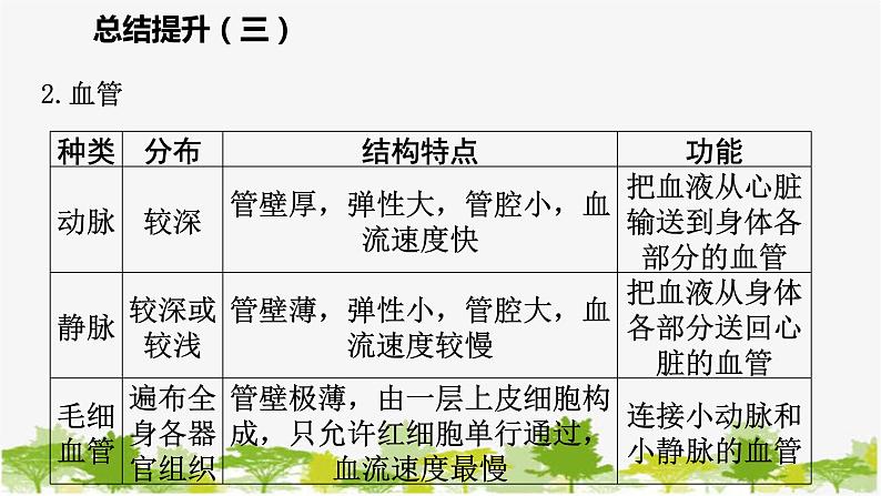 苏教版七年级生物下册 第十章 人体内的物质运输和能量供给 小结与复习课件第6页