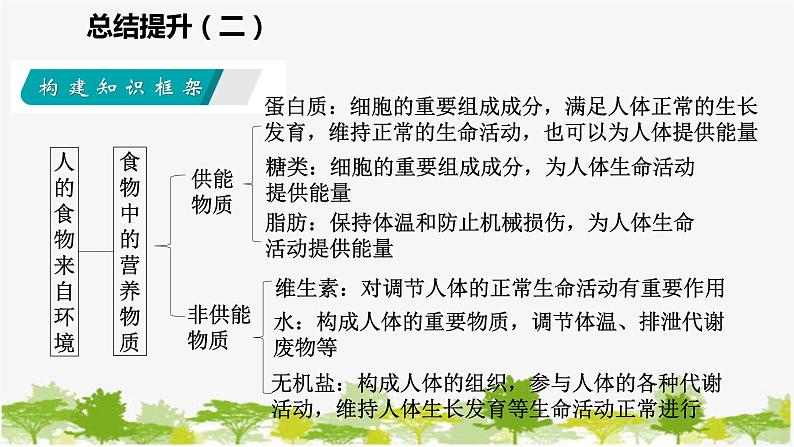 苏教版七年级生物下册 第九章 人的食物来自环境 小结与复习课件第3页