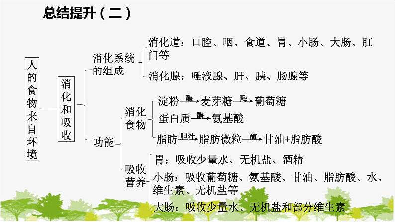 苏教版七年级生物下册 第九章 人的食物来自环境 小结与复习课件第4页