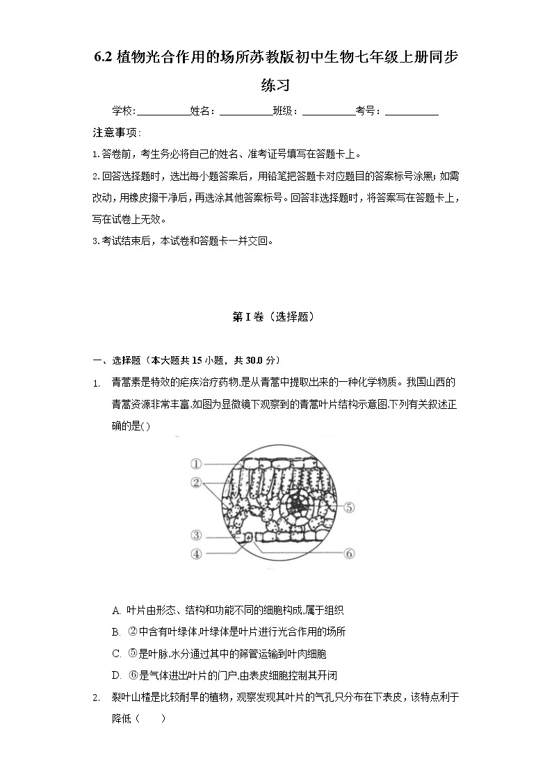 6.2植物光合作用的场所  苏教版初中生物七年级上册同步练习（含答案解析）01