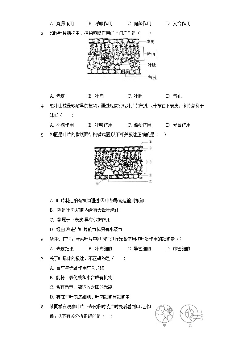 6.2植物光合作用的场所  苏教版初中生物七年级上册同步练习（含答案解析）02