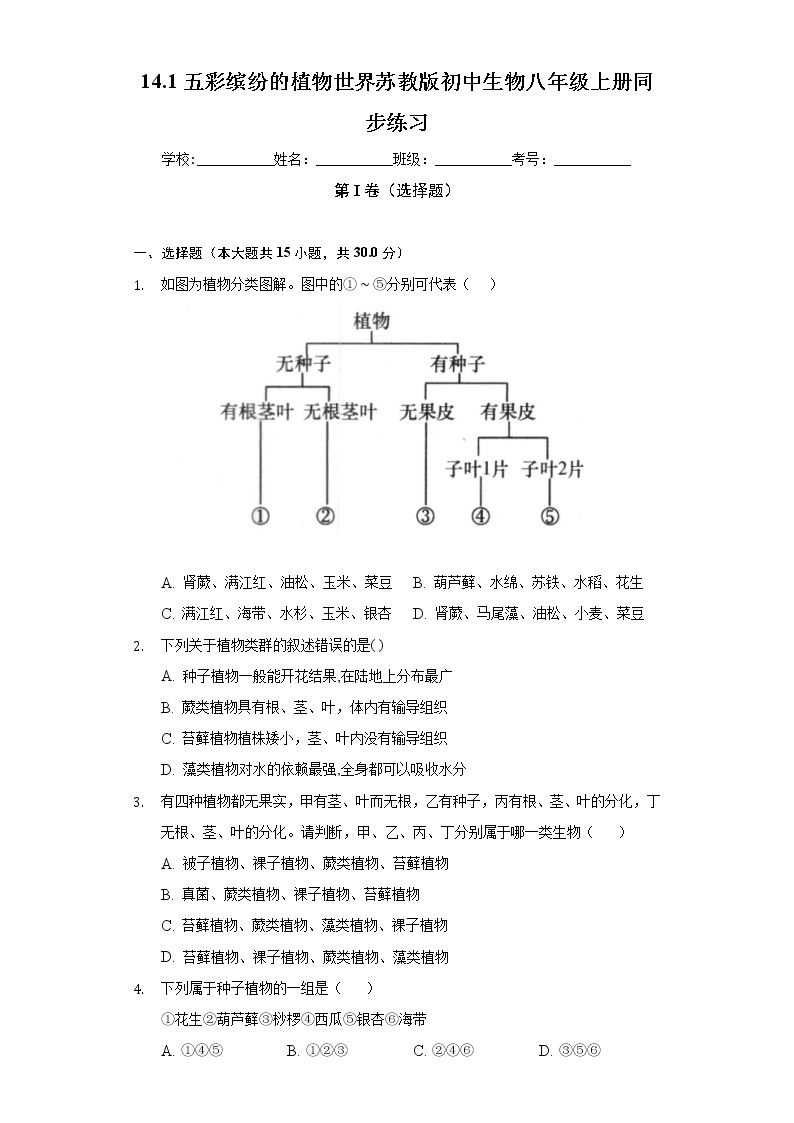 14.1五彩缤纷的植物世界 苏教版初中生物八年级上册同步练习（含答案解析）01