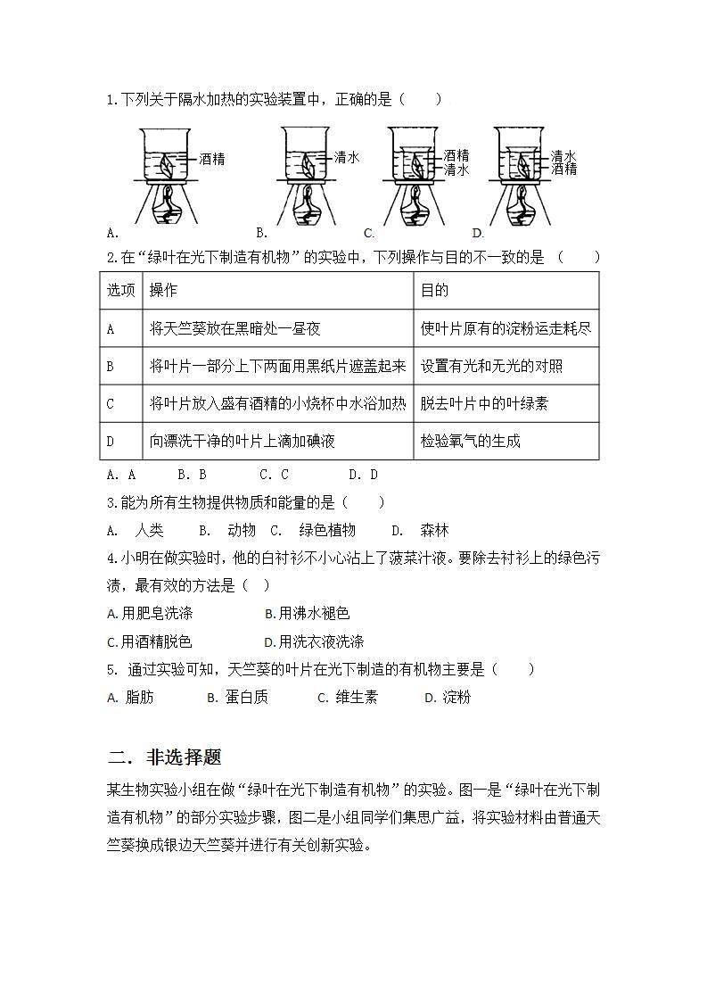 【核心素养目标】人教版 (新课标)初中生物七年级上册3.4《绿色植物是生物圈中有机物的制造者》课件+教案+同步分层练习（含答案）03