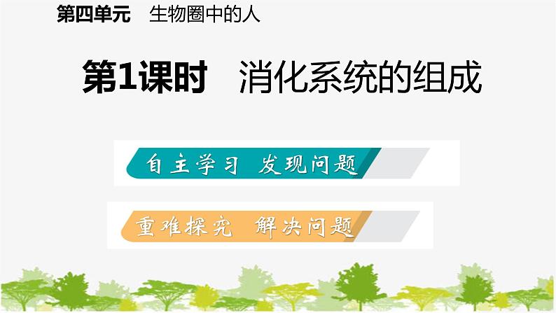 苏教版七年级生物下册 第九章 第二节 第1课时 消化系统的组成课件第2页