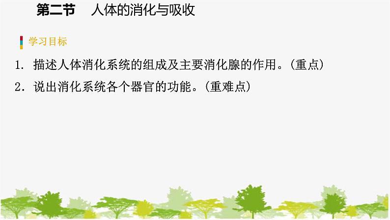 苏教版七年级生物下册 第九章 第二节 第1课时 消化系统的组成课件第3页