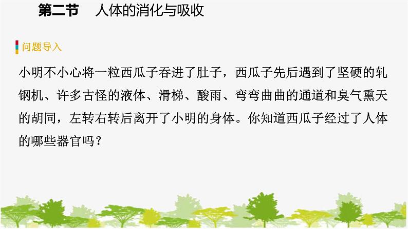 苏教版七年级生物下册 第九章 第二节 第1课时 消化系统的组成课件第4页