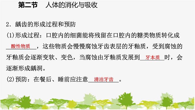 苏教版七年级生物下册 第九章 第二节 第1课时 消化系统的组成课件第7页
