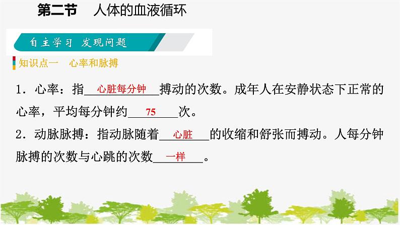 苏教版七年级生物下册 第十章 第二节 第2课时 人体的血液循环课件05
