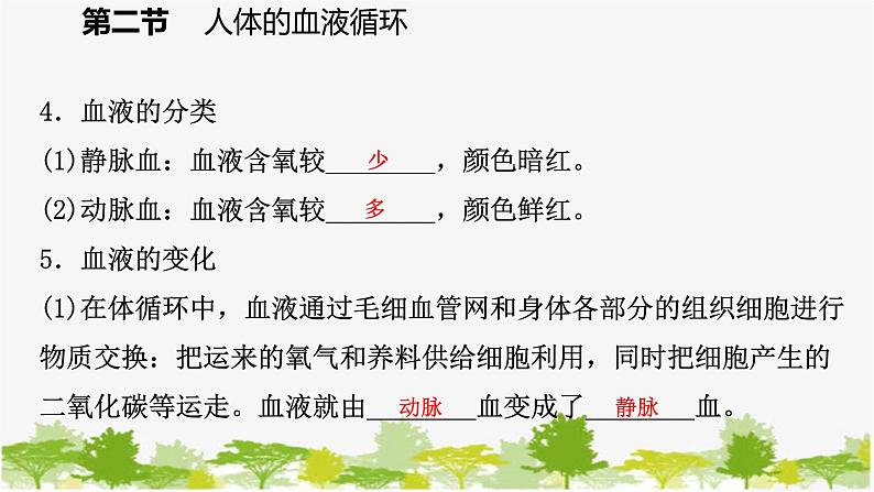 苏教版七年级生物下册 第十章 第二节 第2课时 人体的血液循环课件07