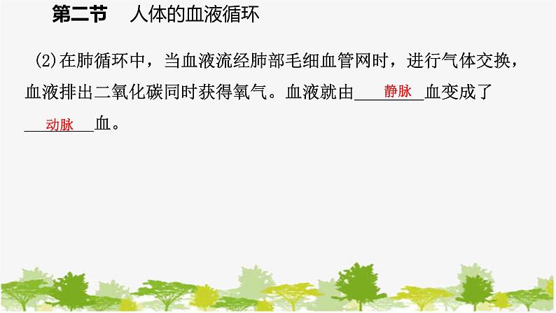 苏教版七年级生物下册 第十章 第二节 第2课时 人体的血液循环课件08