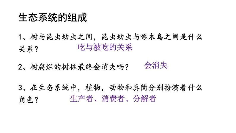 1.2.2《生物与环境组成生态系统》课件第6页